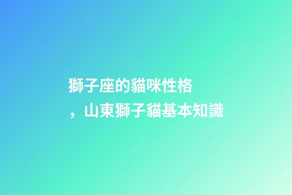 獅子座的貓咪性格，山東獅子貓基本知識-第1張-觀點-玄機派